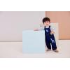 Little Me Baby Boys’ Puppy Stripe Knit Overalls, Jumpers, and Coverall Overalls, 0-24 Months(Blue)