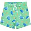 Little Me Clothes for Baby Boys’ Swimsuit Trunks, 6 Months – 4 Toddler(Green Turtle)